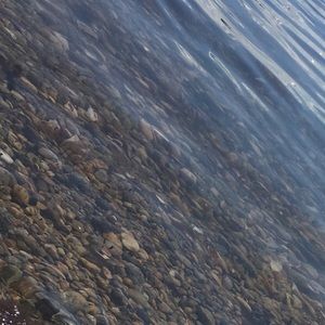 Meet your Posher, Gracie